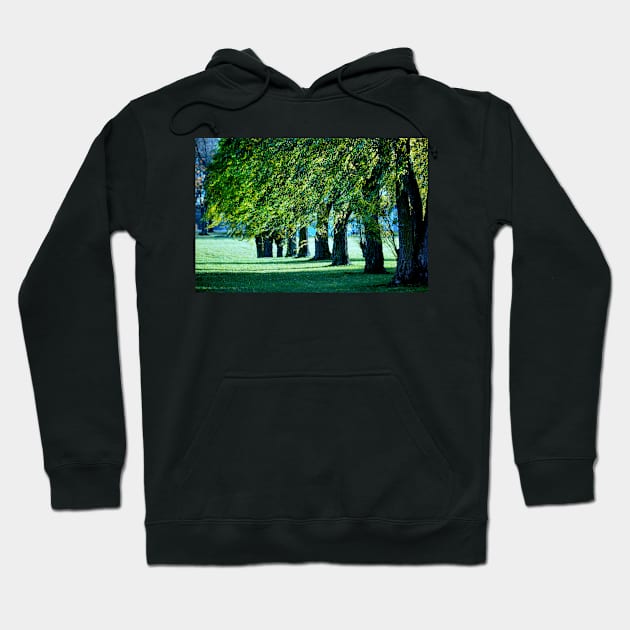 Sunlit Treeline Hoodie by LaurieMinor